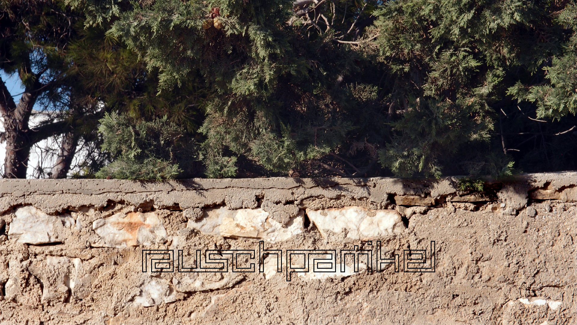 2021-09-05 03 Zikaden zwischen Meer und Strasse (Parasporos Abfahrt 1) (Foto, Fieldrecording)